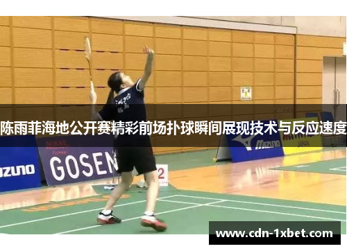 陈雨菲海地公开赛精彩前场扑球瞬间展现技术与反应速度 陈雨菲海地公开赛精彩前场扑球瞬间展现技术与反应速度